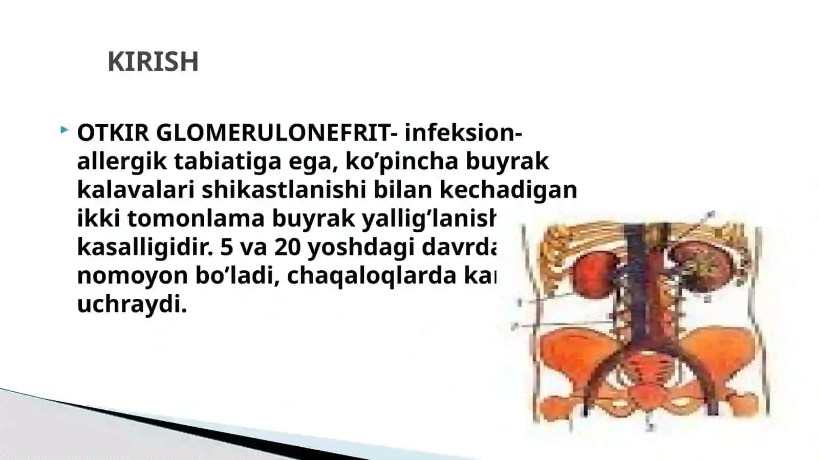 Glomerulonefrit 3