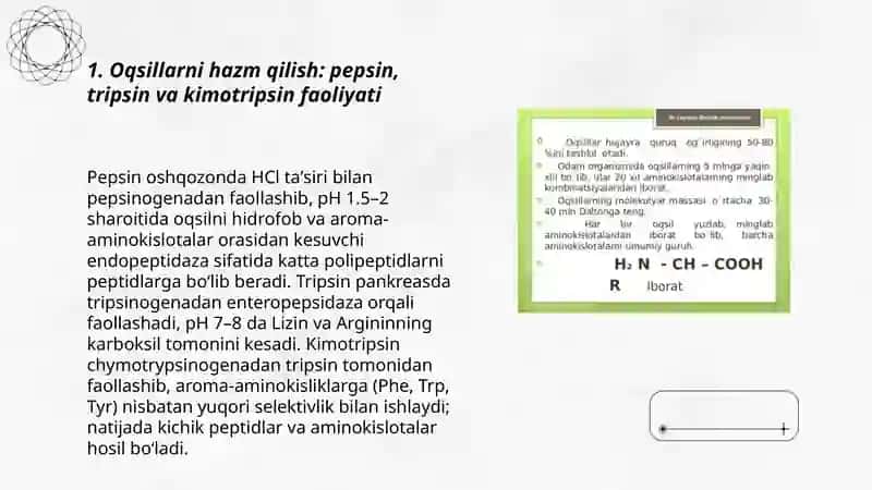 Odam organizmida oqsillarning biokimyoviy oʻzgarishi 3