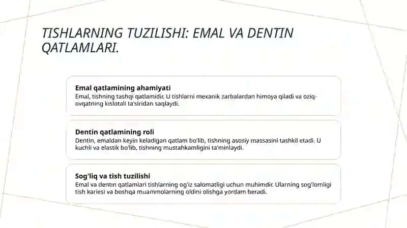 Tishlarning xususiy anatomiyasi 3