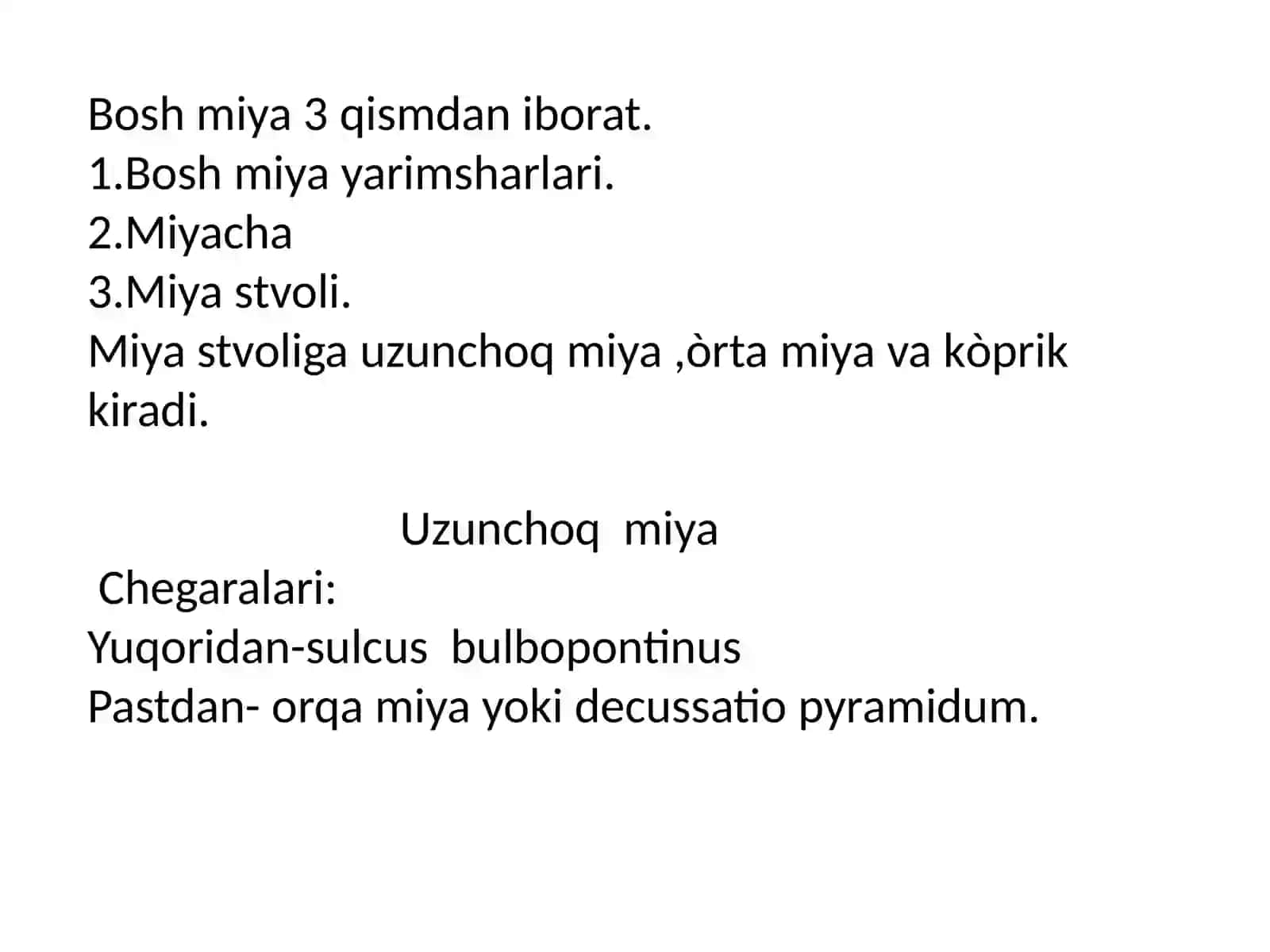 Neuroanatomiya 3