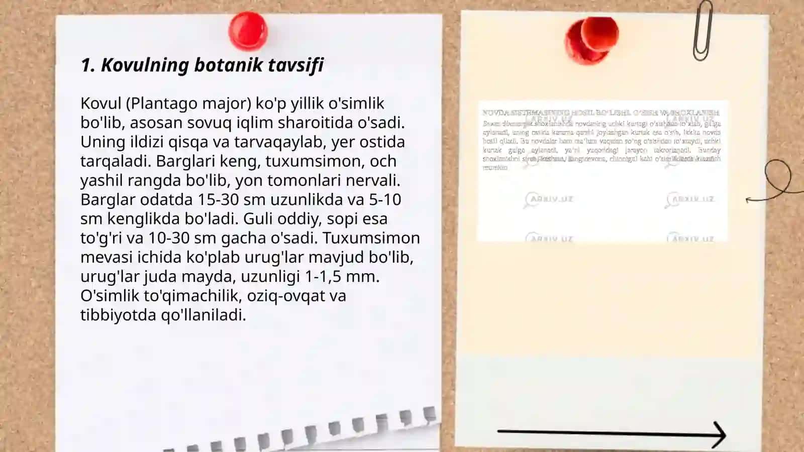Kovul osimligining dorivorlik xussusiyatilari va qishloq xòjaligidagi ahamiyati 3