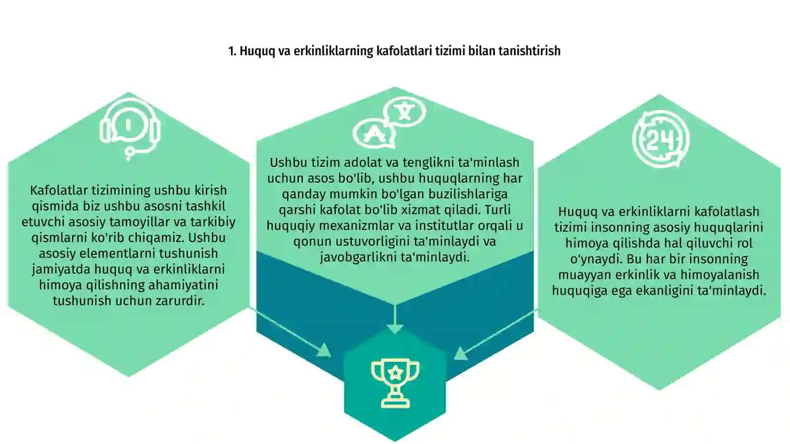 Huquq va erkinliklar kafolatlarining tizimi 3