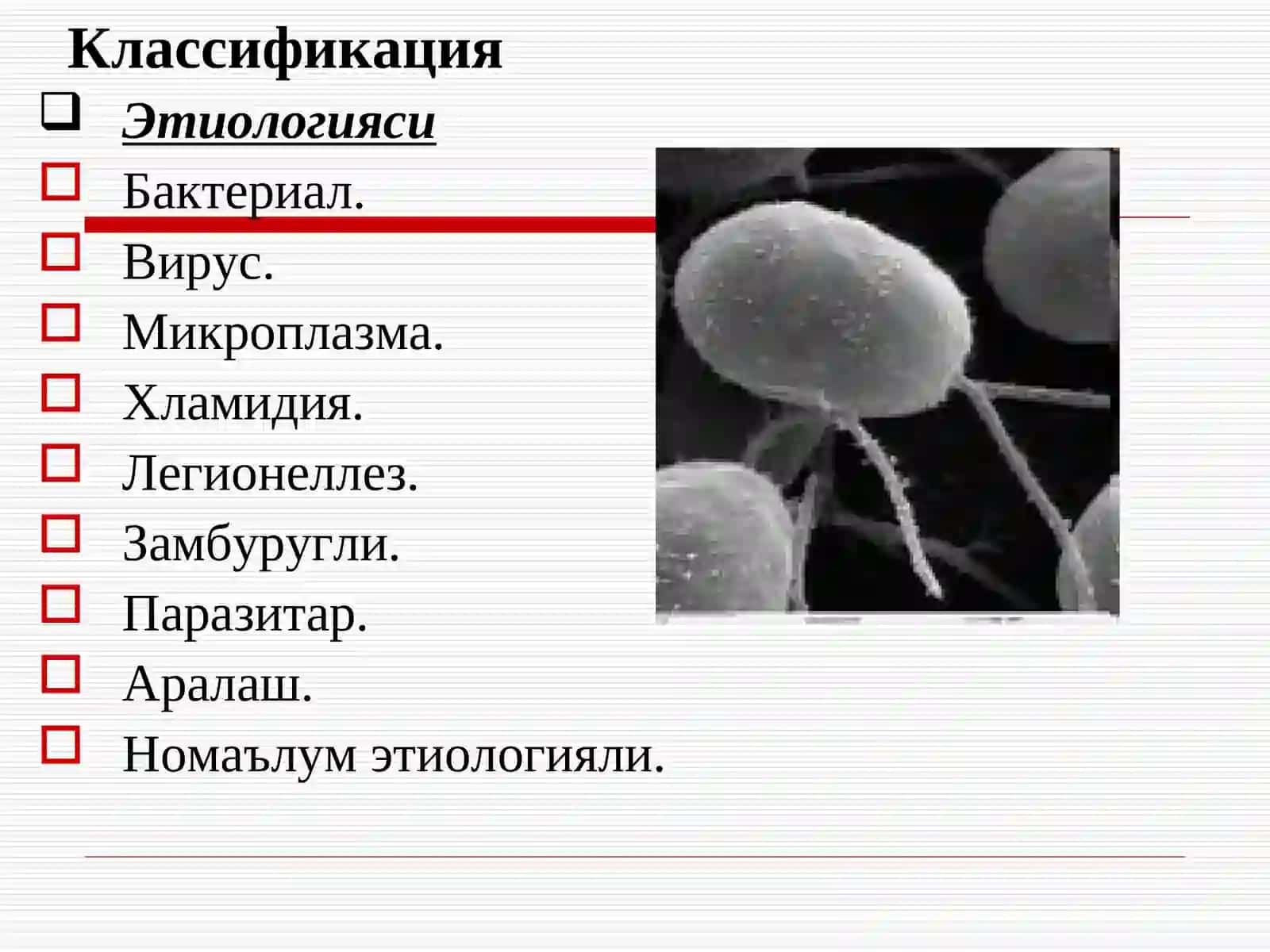 Пневмония 3