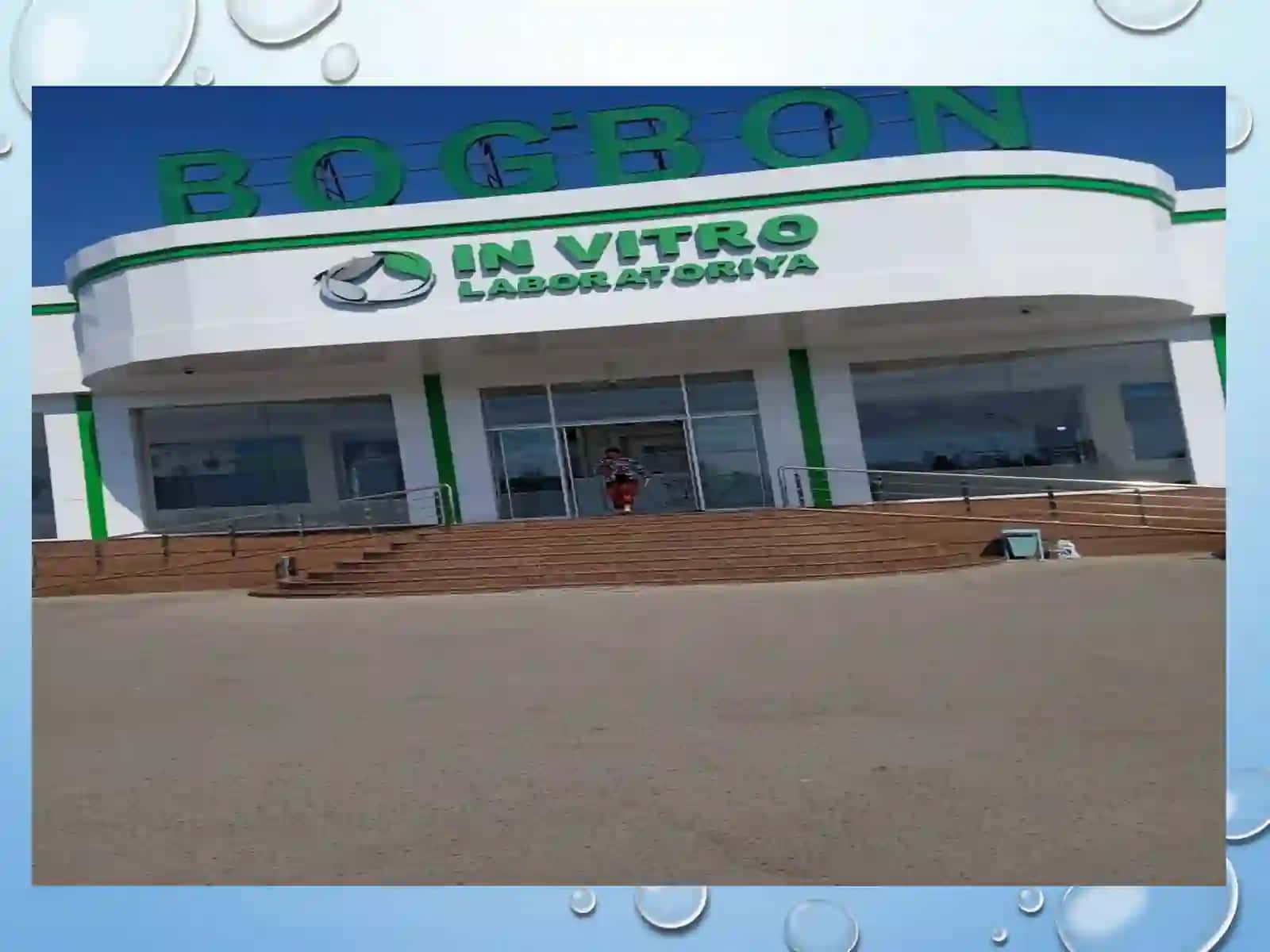 IN VITRO MIKROKLONAL KO'PAYTIRISH VA OZUQA MUHITINI TAYYORLASH 3