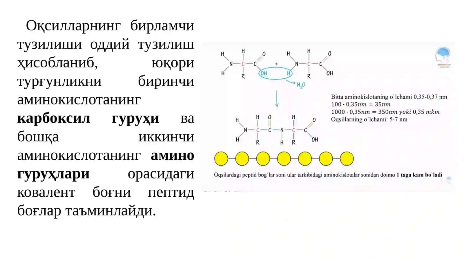Оқсилларнинг элементар таркиби 3