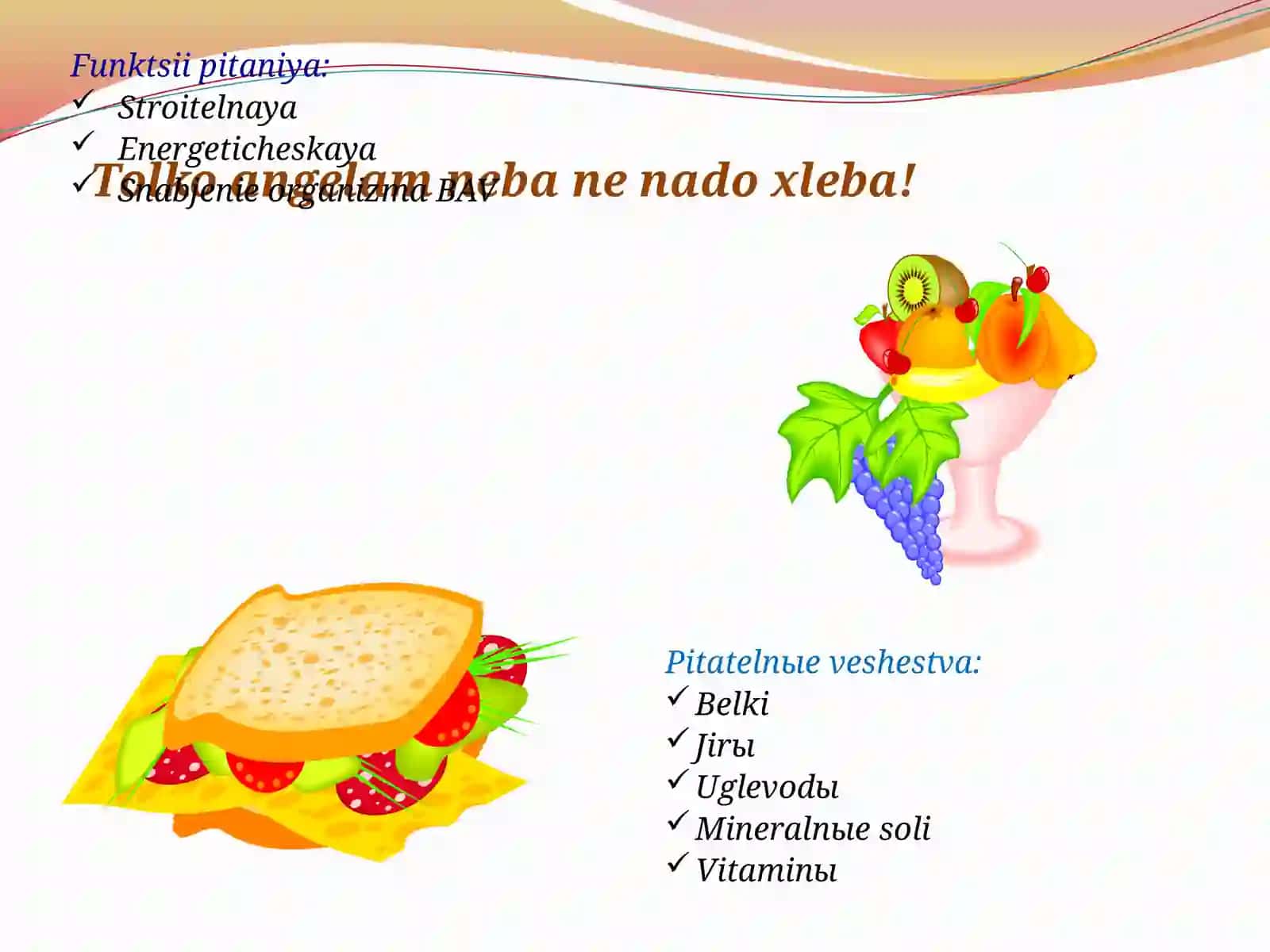 Ovqat hazm qilish tizimi anatomiyasi va fiziologiyasi 3