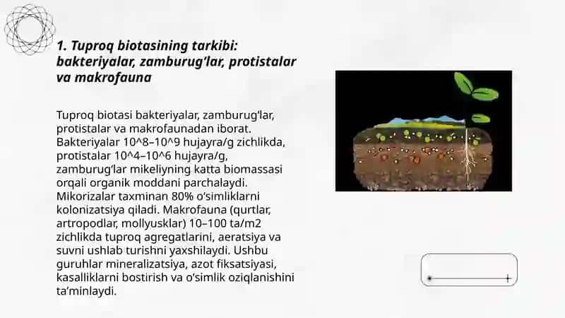Tuproq biotasi va uning qishloq xoʻjaligi ekinlari rivojidagi ahamiyati 3