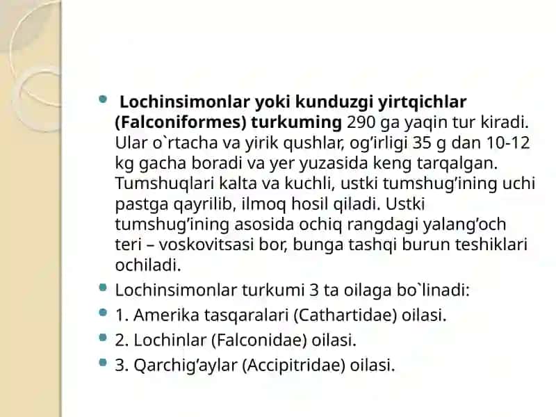 Qushlarsinfining O'zbekiston datarqalgan turlari (1-qism) 3