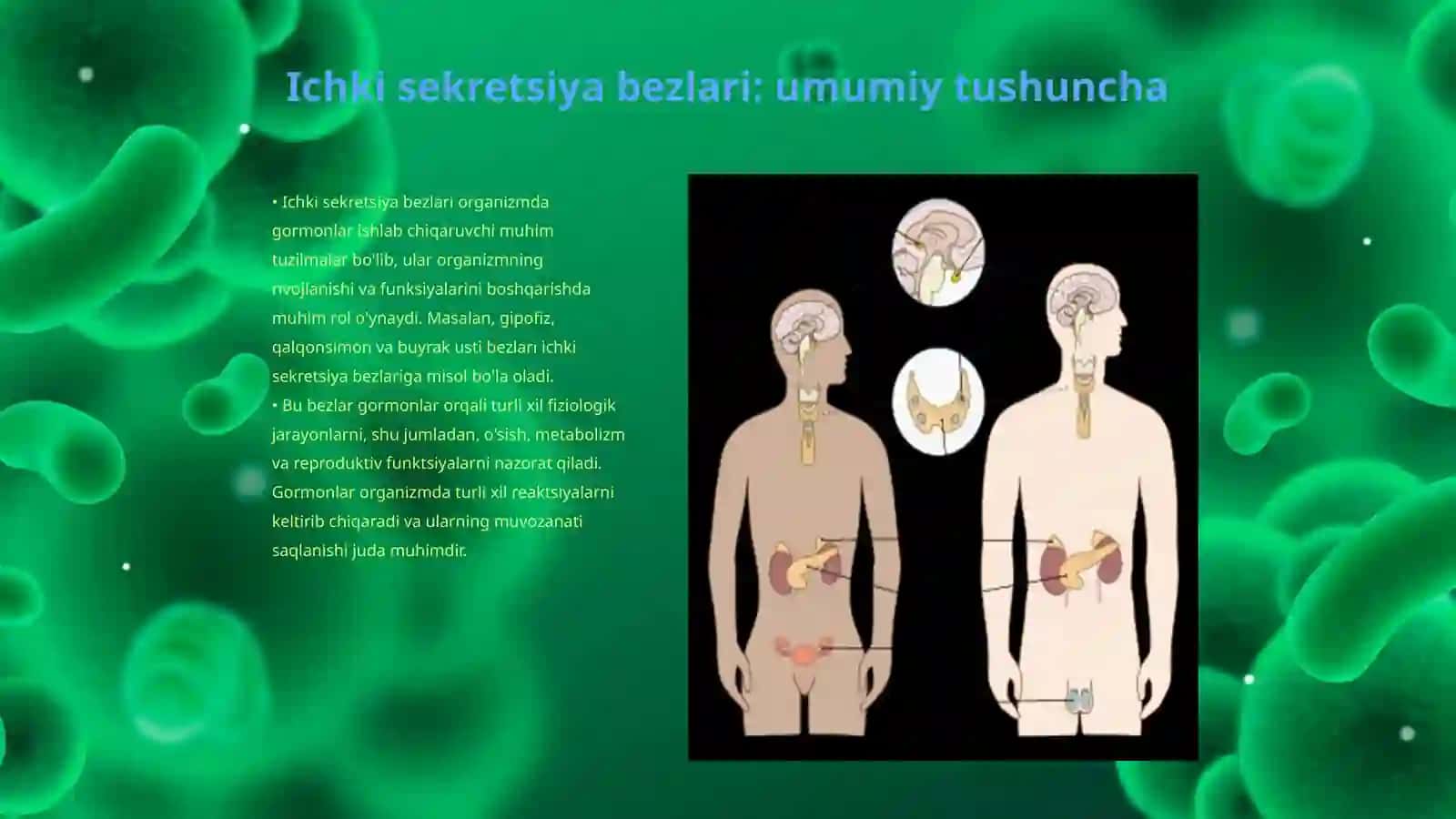 Bolalarda ichki sekretsiya bezlari kasalliklari kechishida psixologik buzilishlar 3