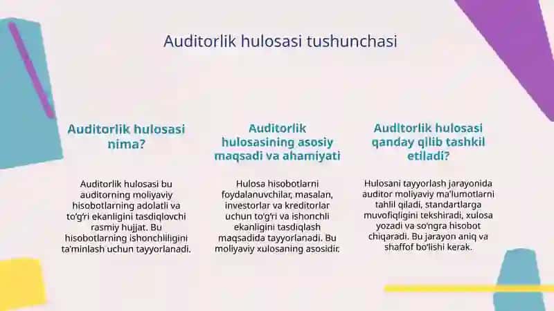 Auditorlik xulosasi 3