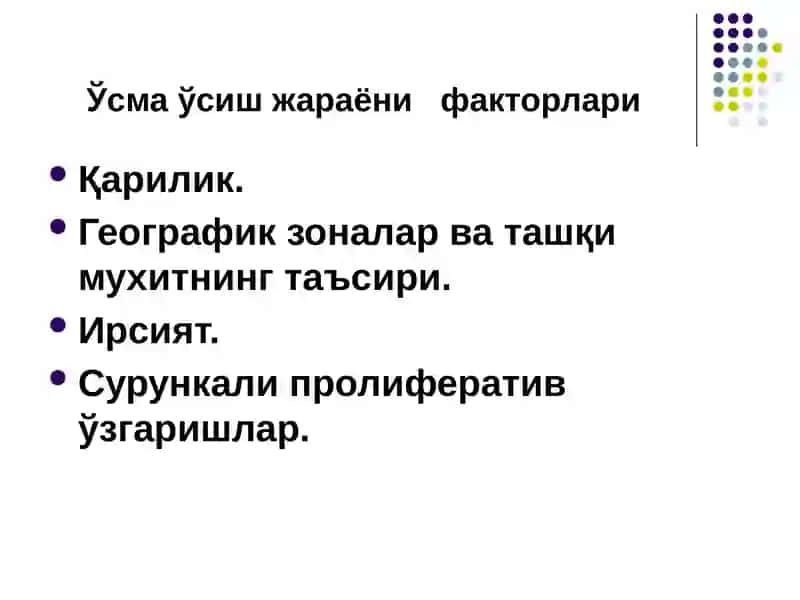 Ўсмалар 3