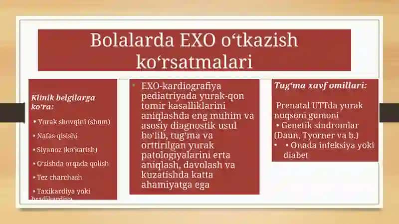 EXO-kardiografiya 3