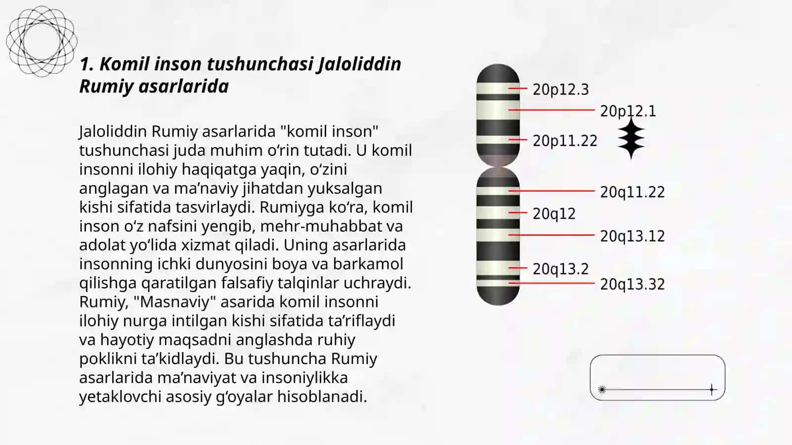 Jaloliddin Rumiy asarlarida komil inson tarbiyasi 3