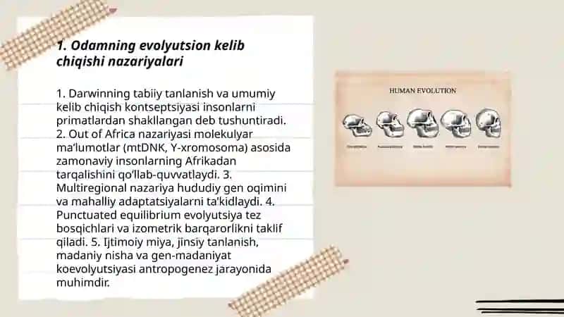 Odamning kelib chiqishi. Antropogenenez. Kelajakda insonlar qanday koʻrinishda boʻladi 3