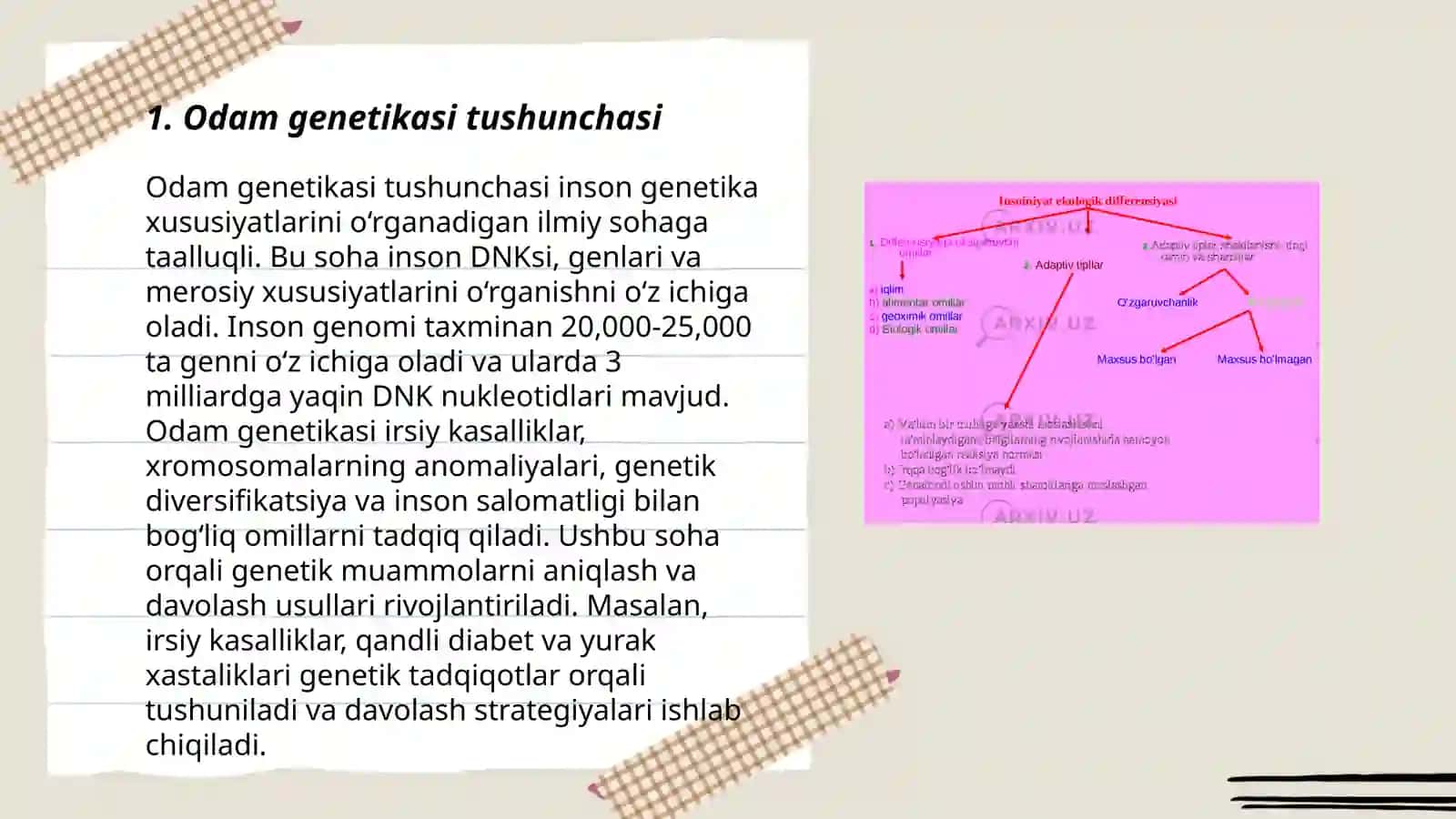 Odаm genitikasining oʻrganish usullari: geneologik, egizaklar va population statistk usul 3