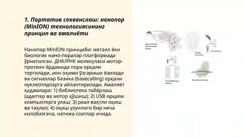 Диагностика технологияларининг ривожланиши. Портотив секвенслаш CRISPR асосидаги диагностика тезкор тестлар 3