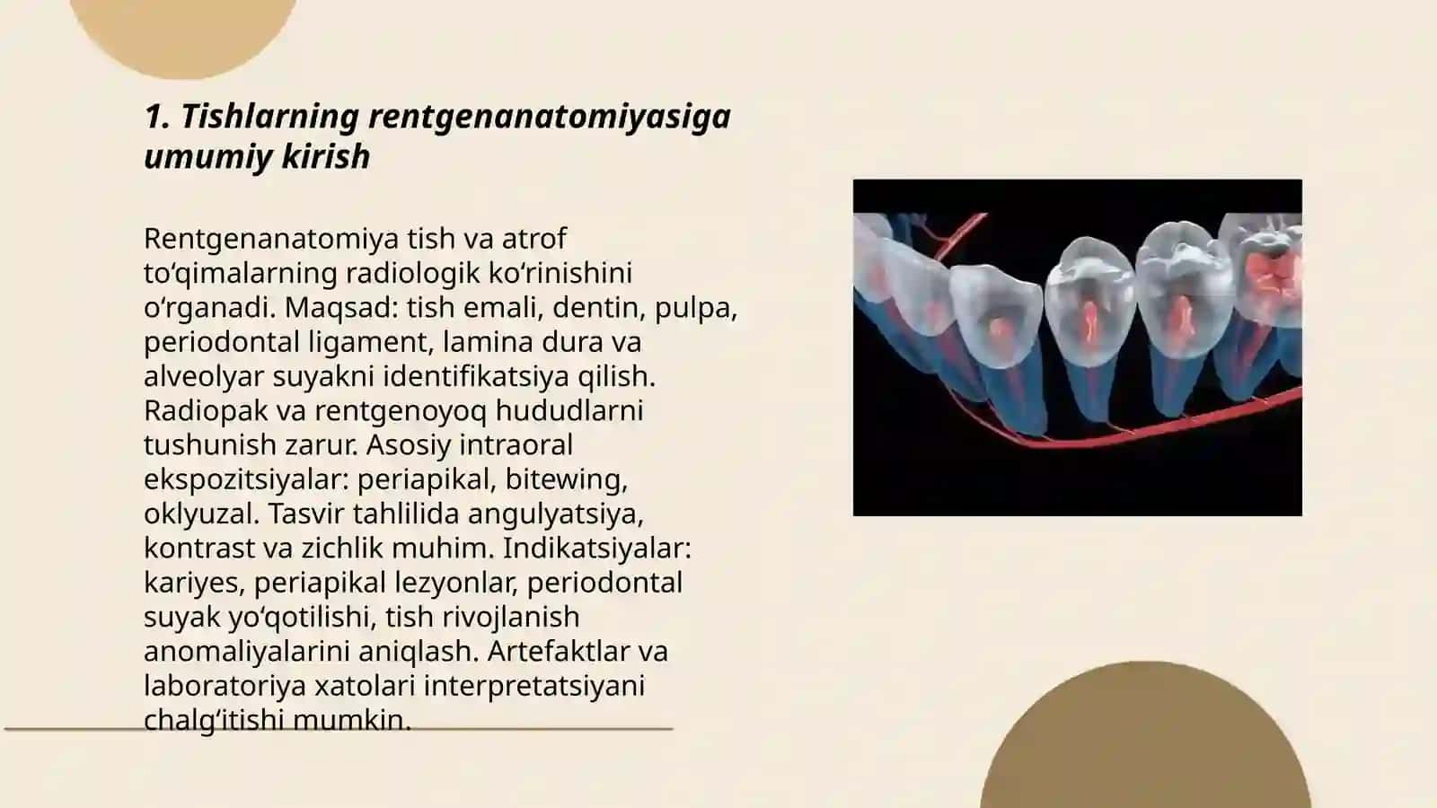 Tishlarning rentgenanatomiyasi. Prikus va tish taraqqiyotida uchraydigan anomaliyalar 3