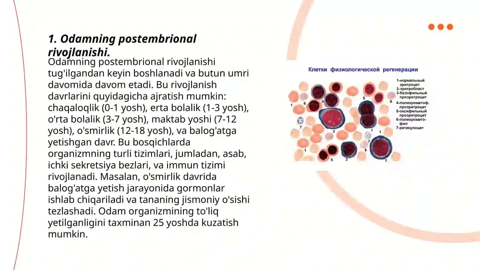 Odamning postembrional rivojlanishi davrlari umumiy qonuniyatlari 3