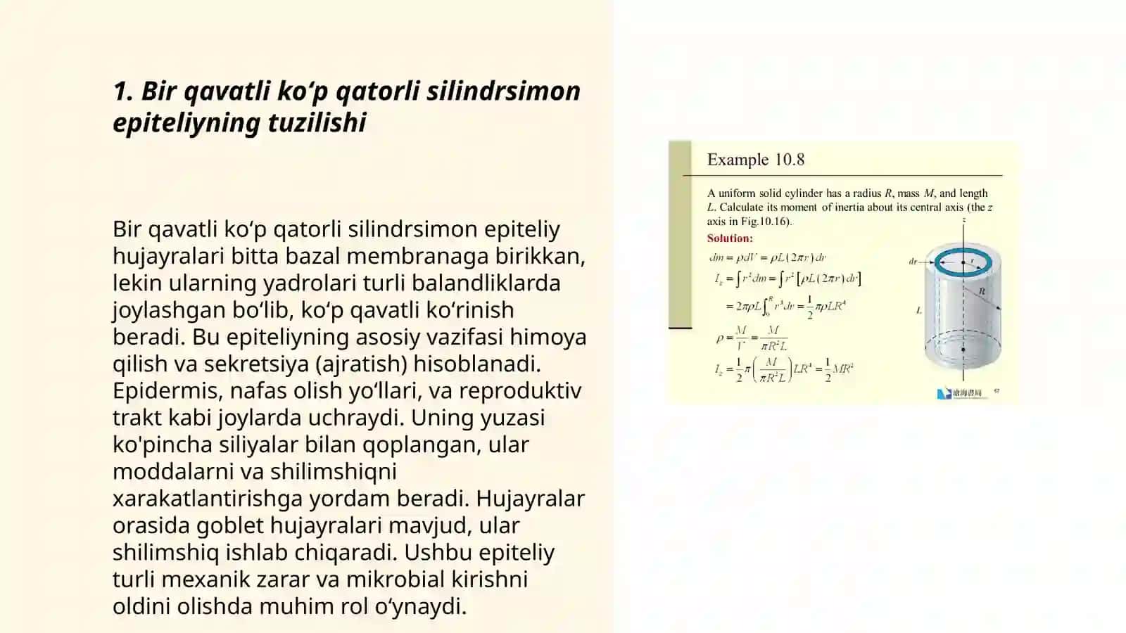 Bir qavatli koʻp qatorli silindirsimon kiprikli epitiley Berman metodidan foydalanib nematodalarni ajratib olish 3