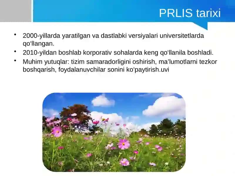 PRLIS 3