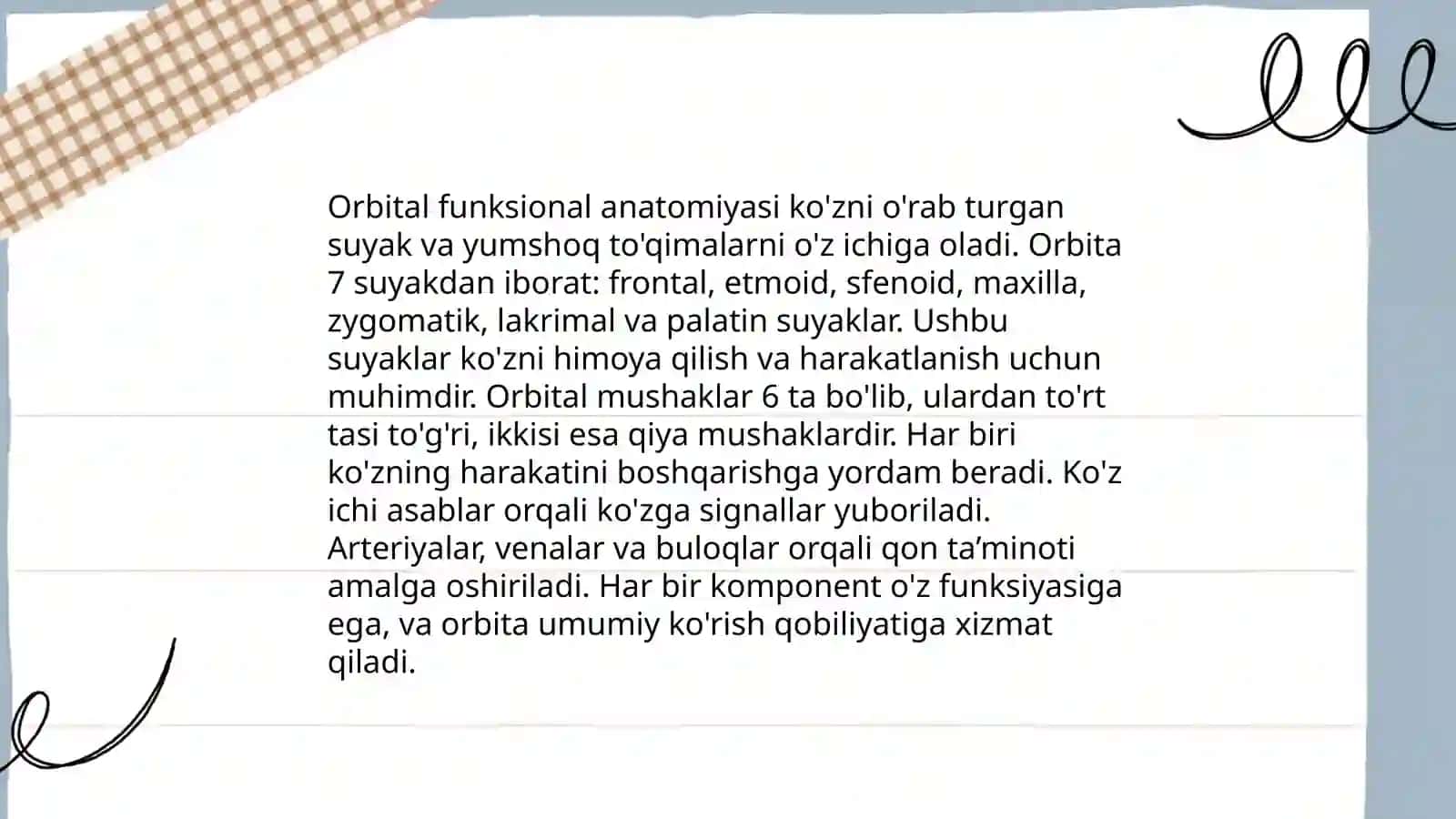 Orbital funksional anatomiyasi 3