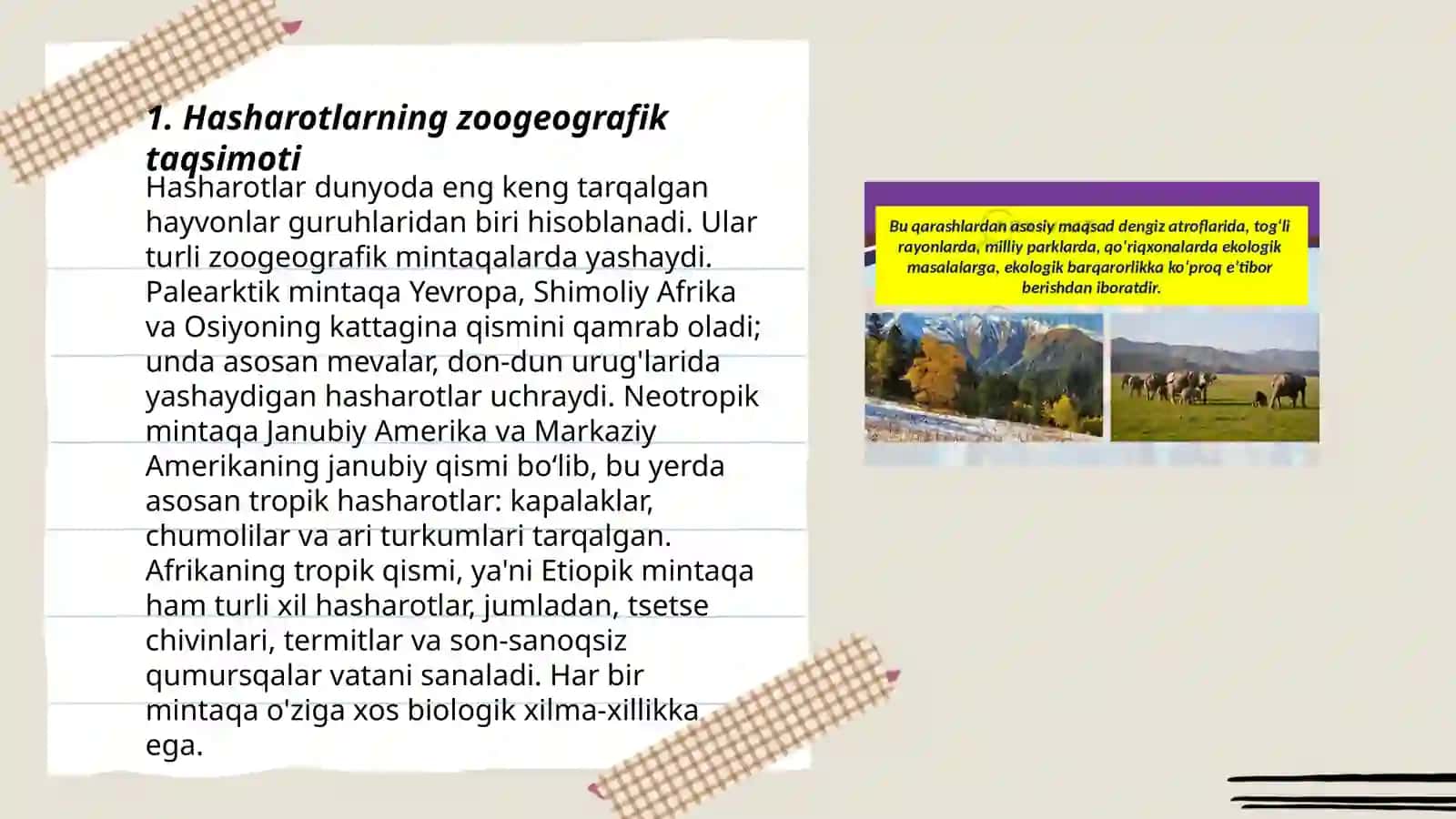 Hasharotlarning zoogeografiyasi va ularni muhofaza qilish 3
