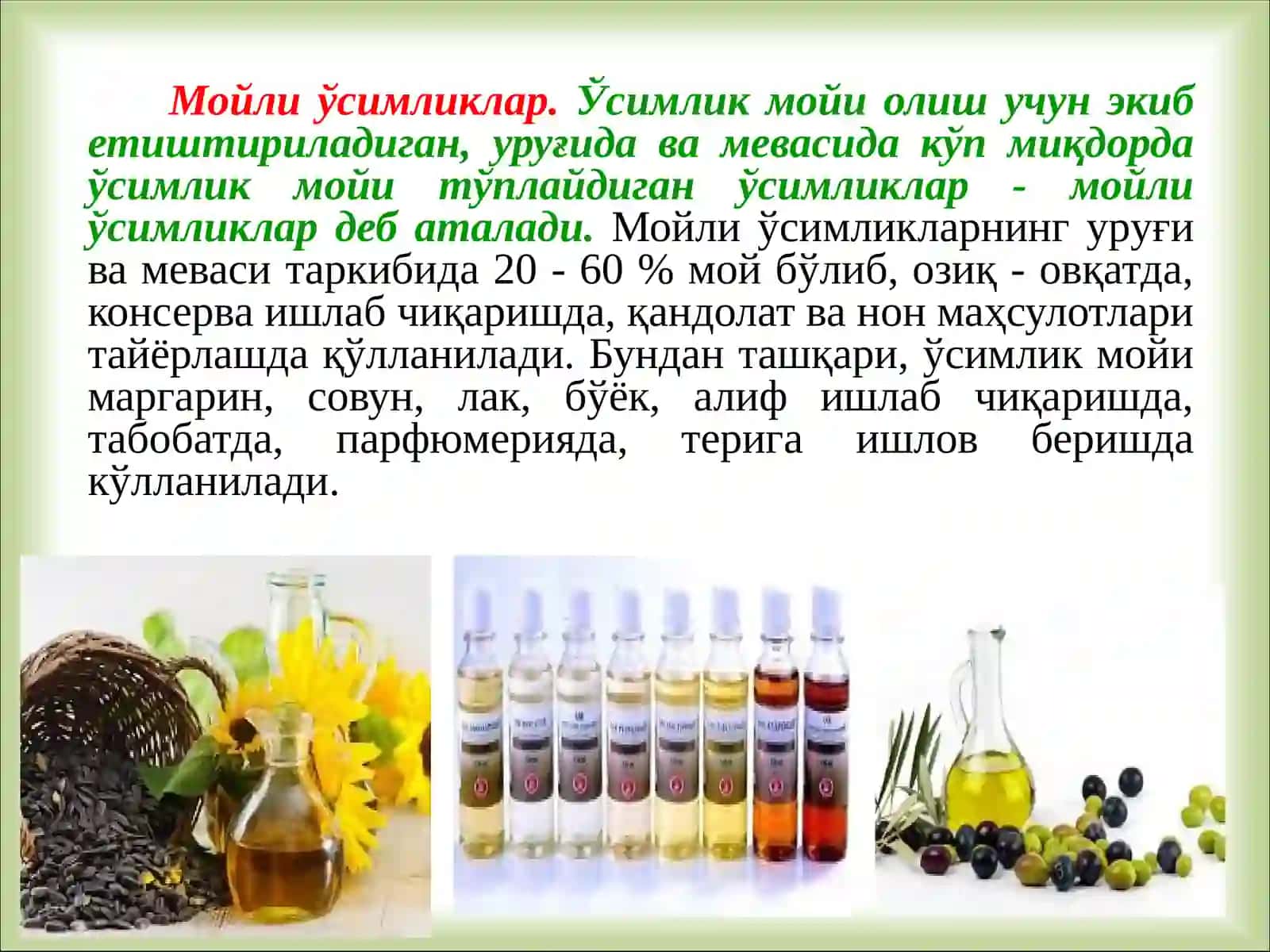 Ўзбекистон фойдали ўсимликлар: МОЙЛИ, ЭФИРМОЙЛИ, ОШЛОВЧИ, САПОНИН ТУТУВЧИ ЎСИМЛИКЛАР 3