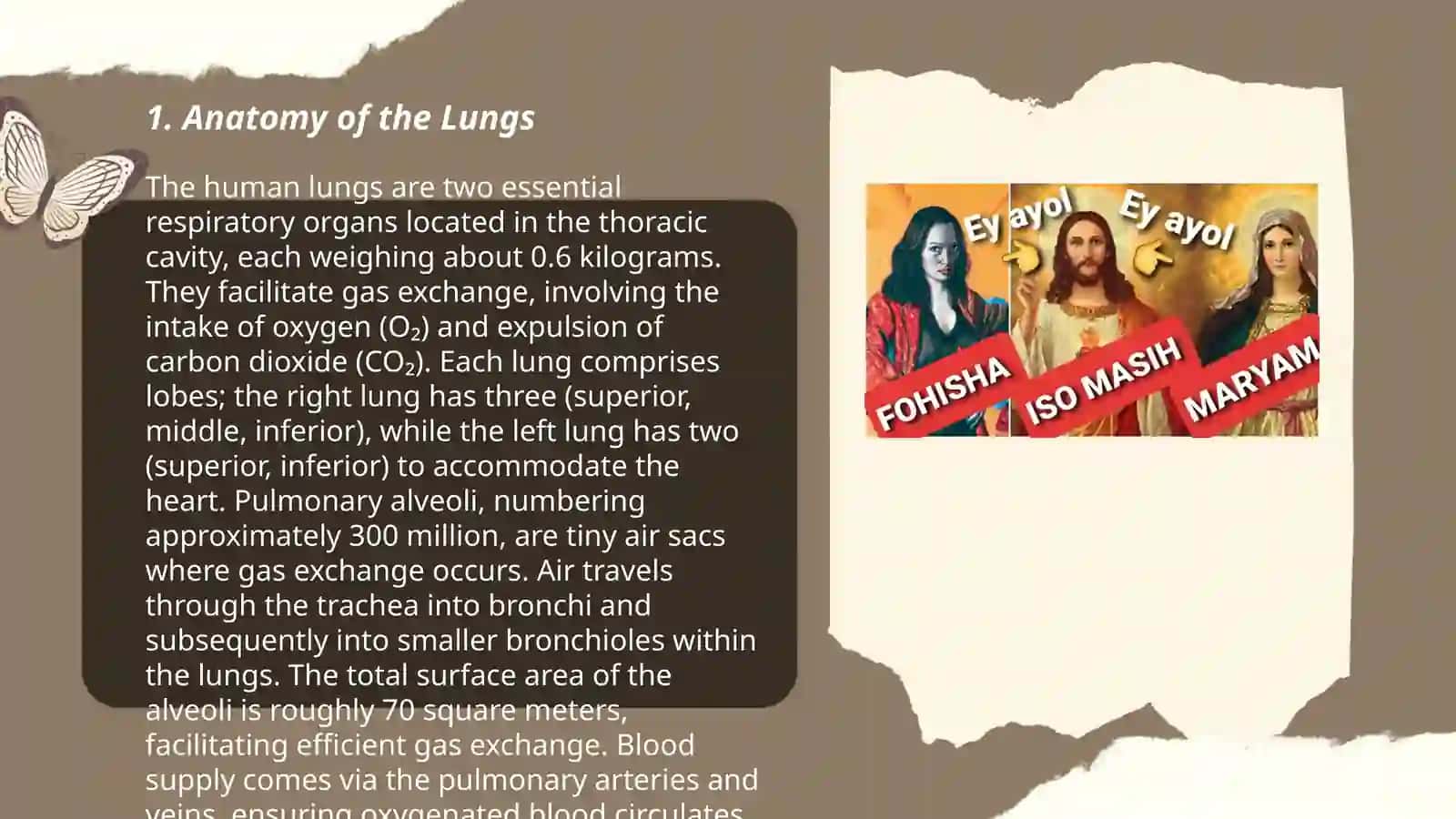 Lungs or a pulmonary system 3