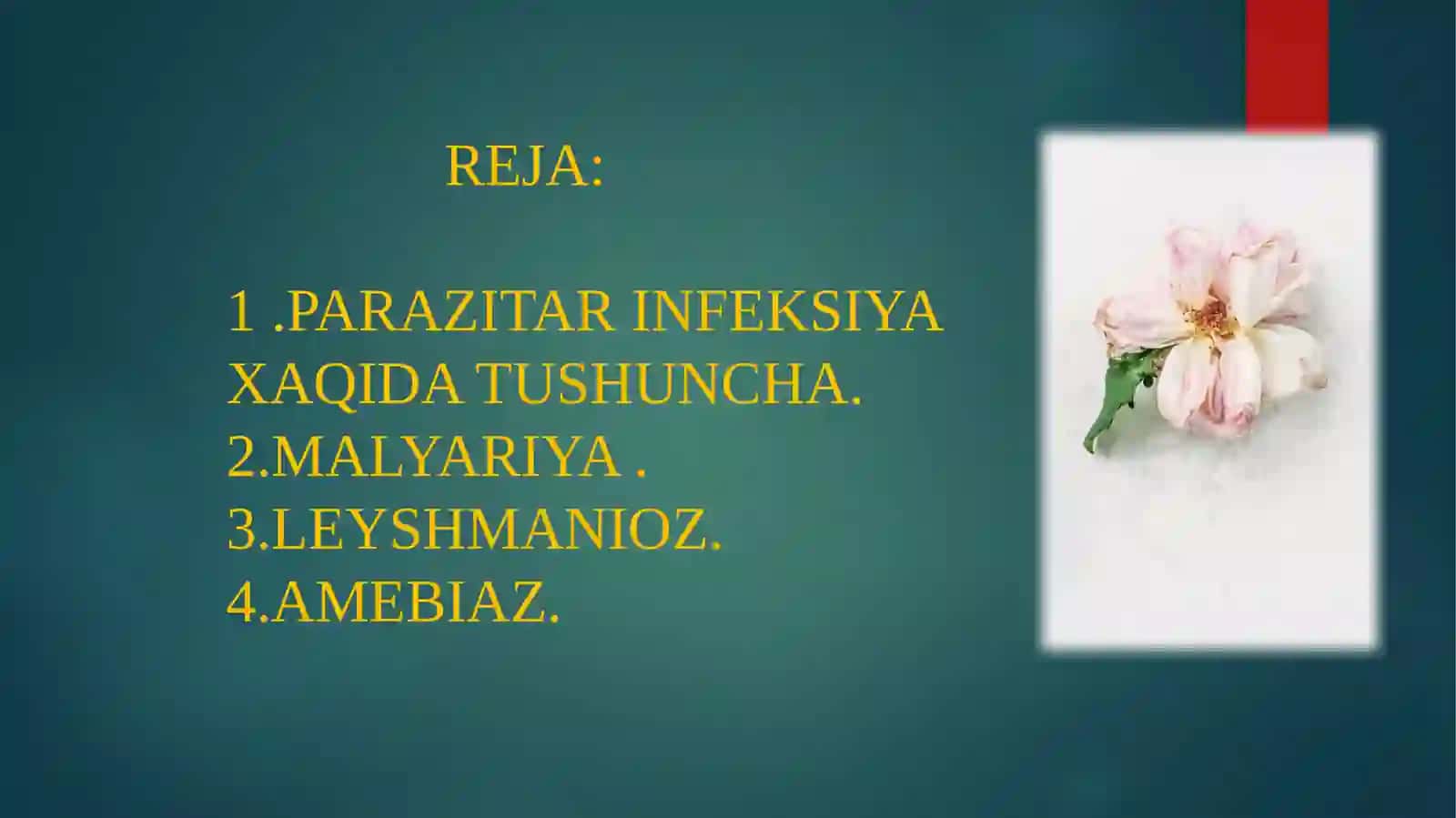 TERMIZ FILIALIDAVOLASH ISHI 3