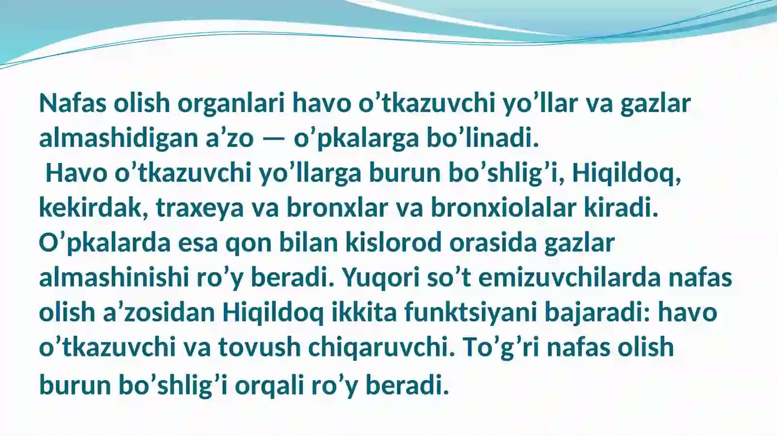 Òpka palpatsiyasi 3