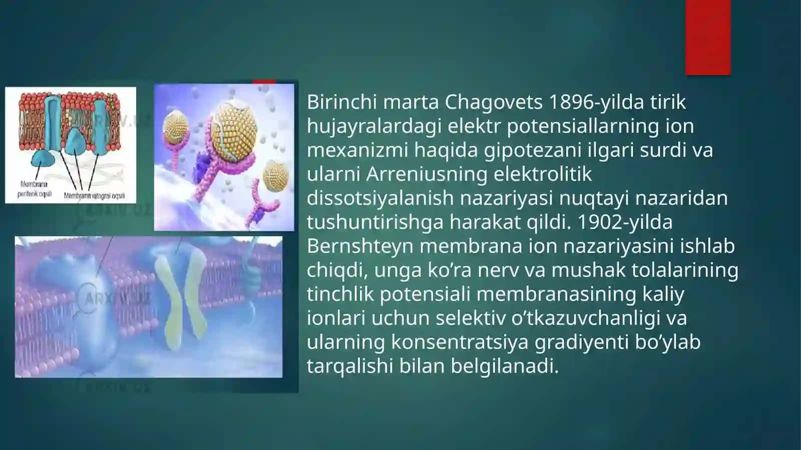 Biologik membranalardagi fizik jarayonlar. 3
