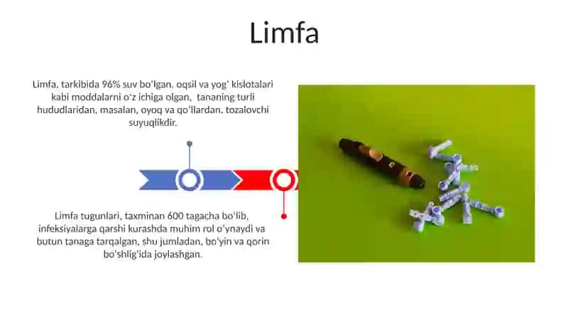 Limfa 3