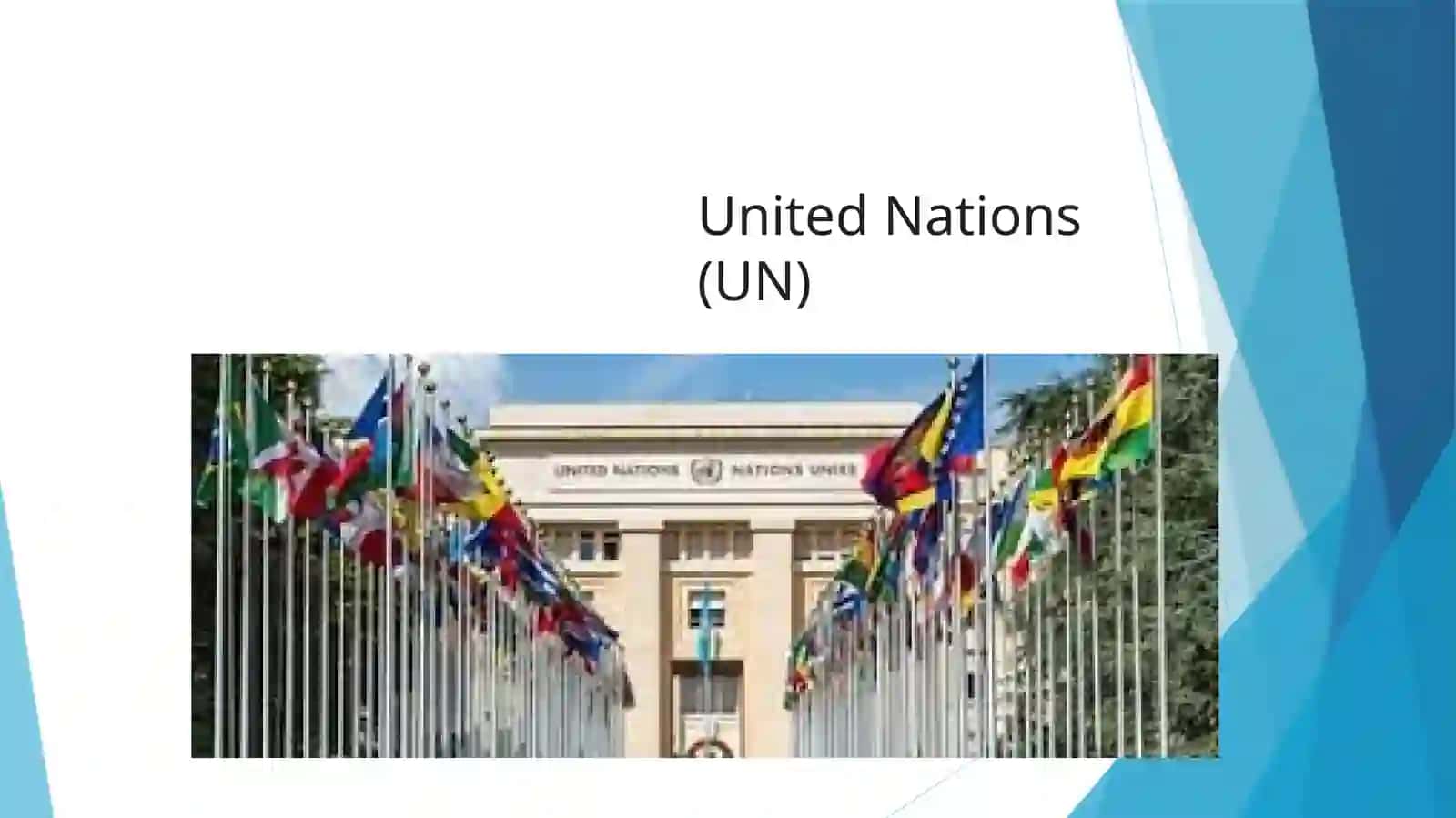 International organization 3