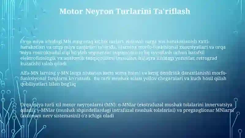 Orqa miyaning harakatlantiruvchi neyronlarining turlari 3