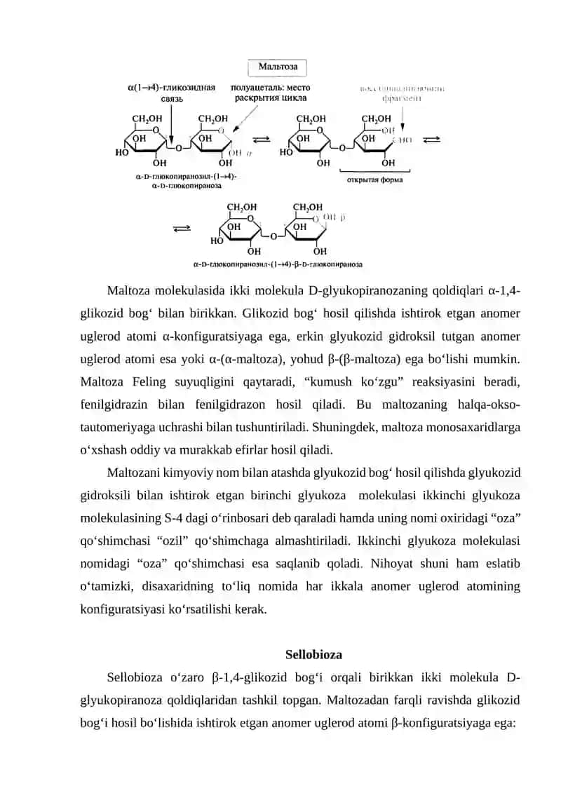 OLIGOSAXARIDLAR 3