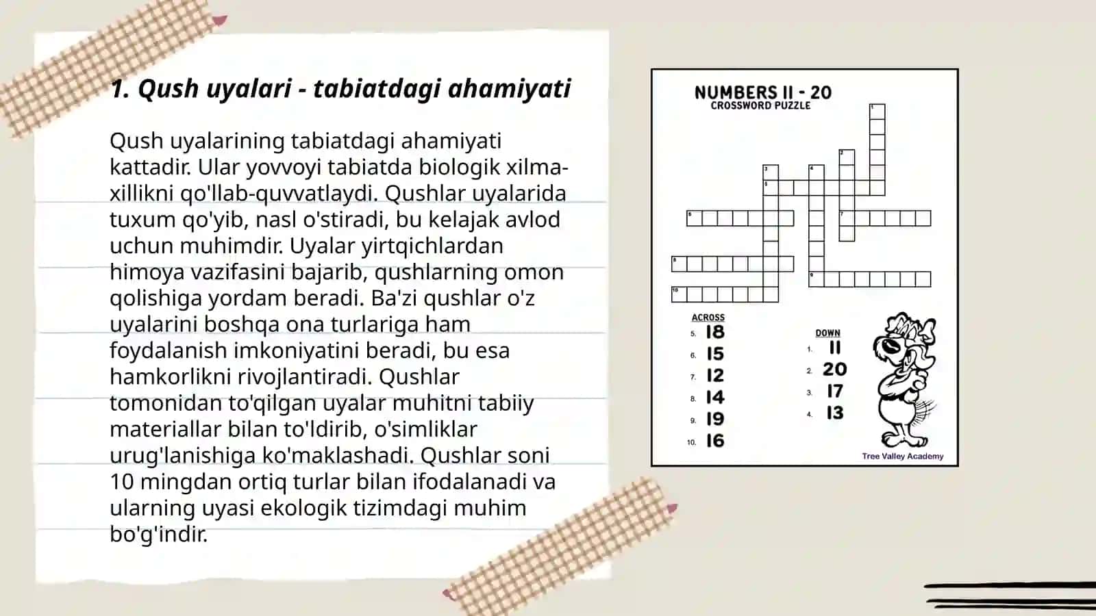 Qush uyalari - tabiatdagi ahamiyati 3