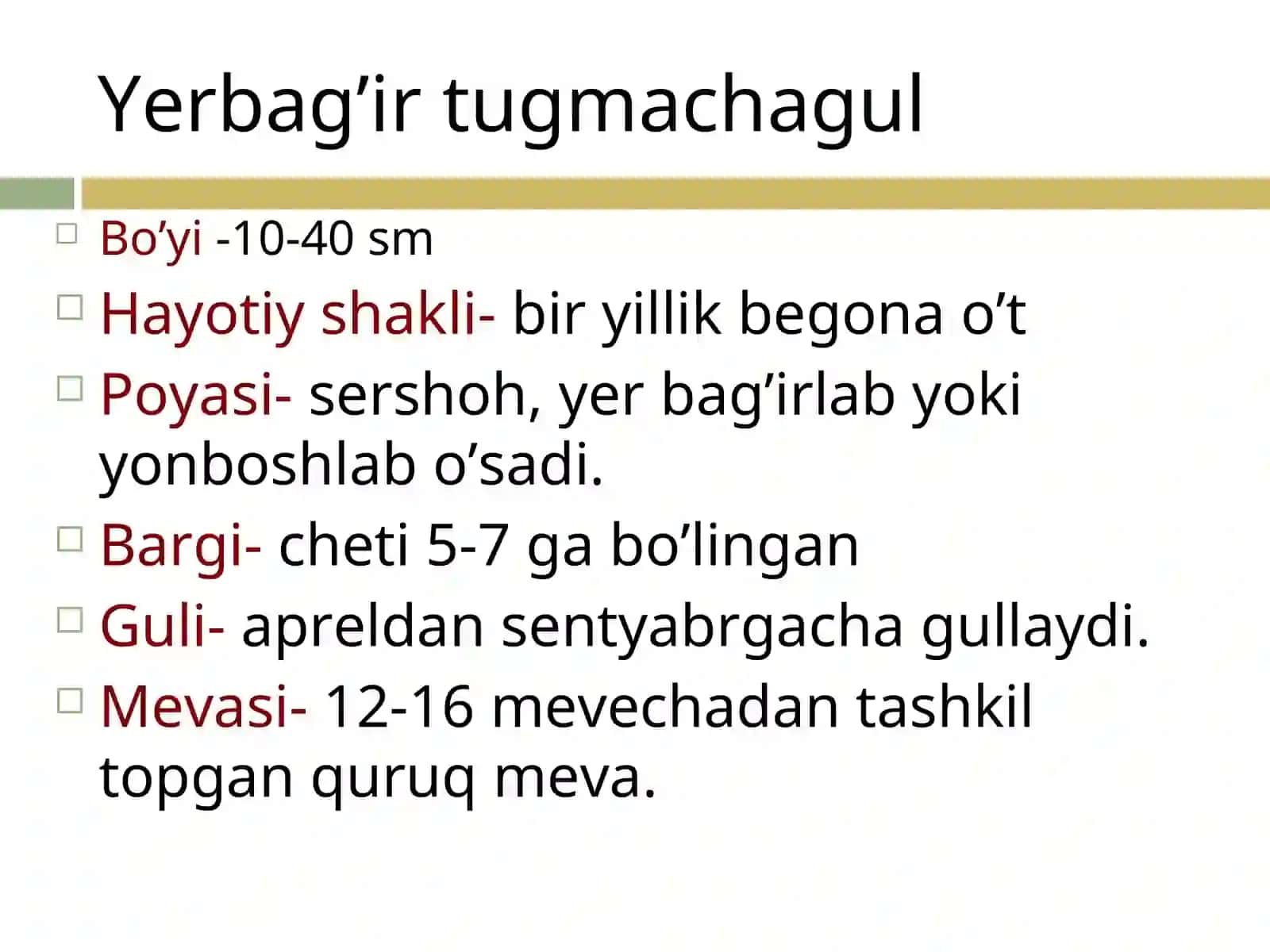 Gulxayridoshlar oilasi 3
