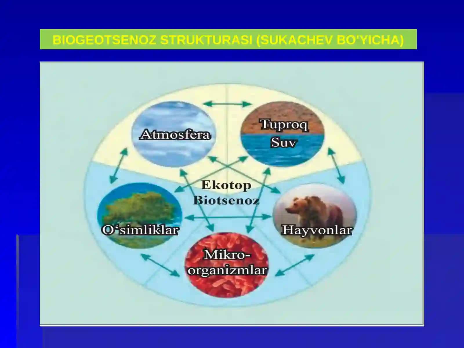 BIOLOGIYA11-SINFMAVZU:3-§. HAYOTNING EKOSISTEMA DARAJASI XUSUSIYATLARI 3