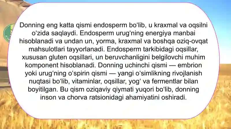 Donlar tuzilishi va ishlab chiqarishdagi ahamyati 3