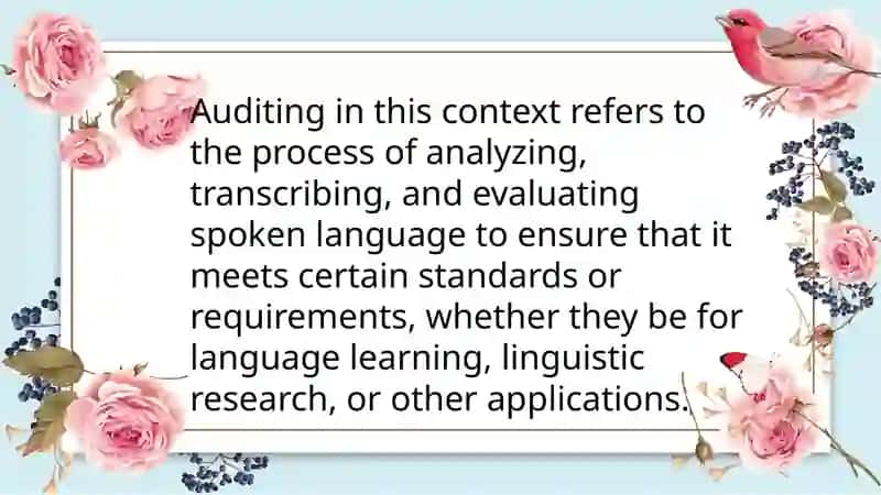 Problemsofauditingauthenticspeech 3
