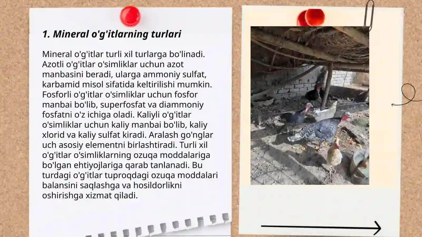 Kurkalarni oziqlantirish texnologiyasi 3