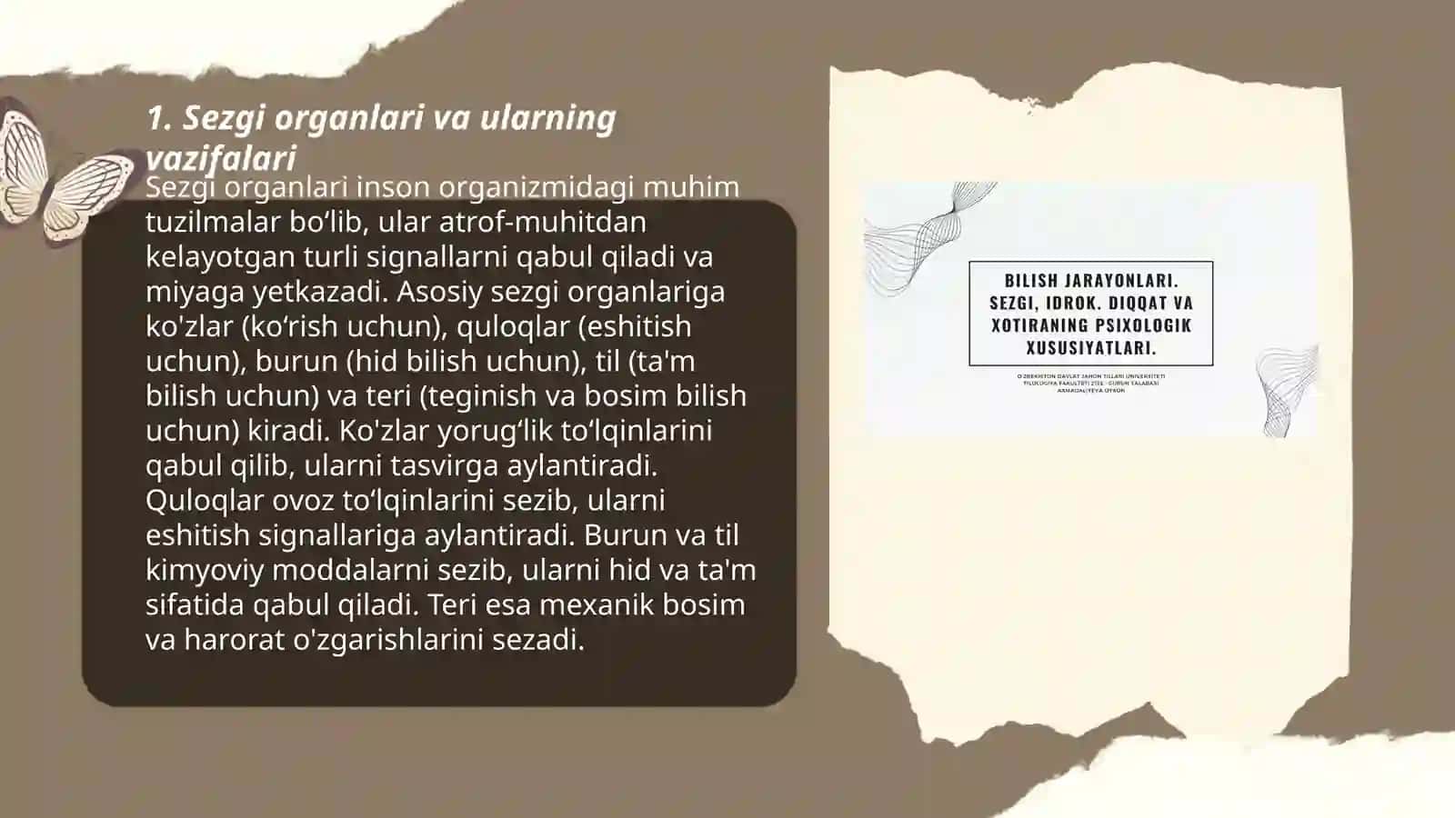 Sezgi va idrok jarayonlari 3