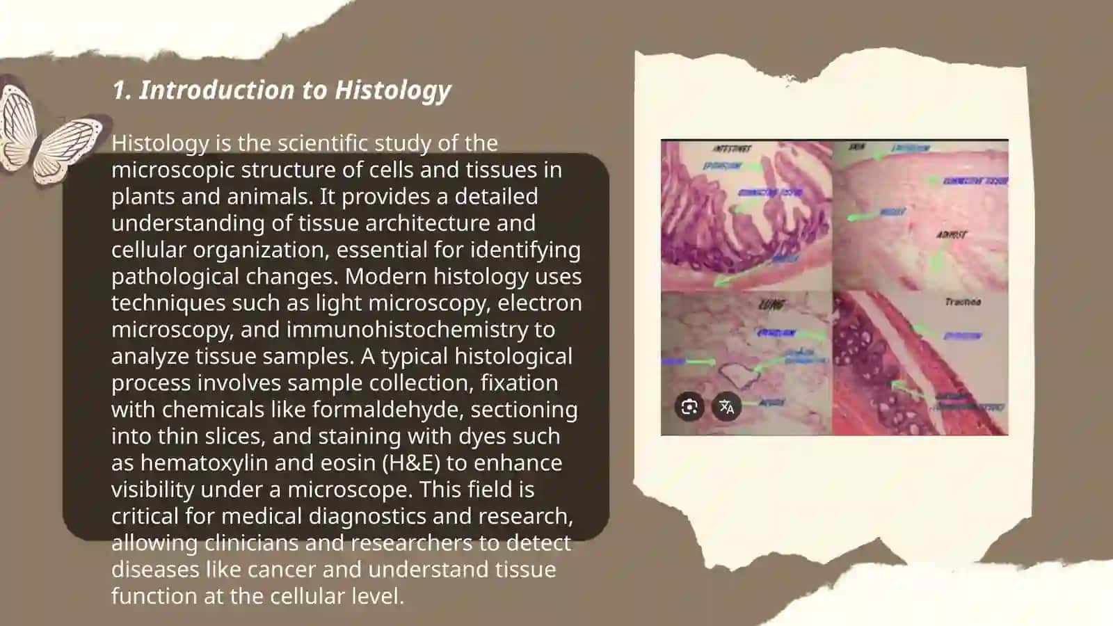 Histologiya 3