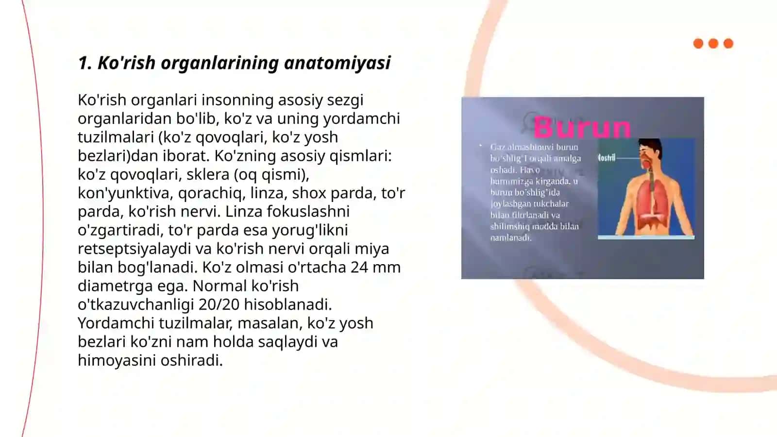 Ko'rish va eshitish organlarining xususiyati va gigiyenasi 3
