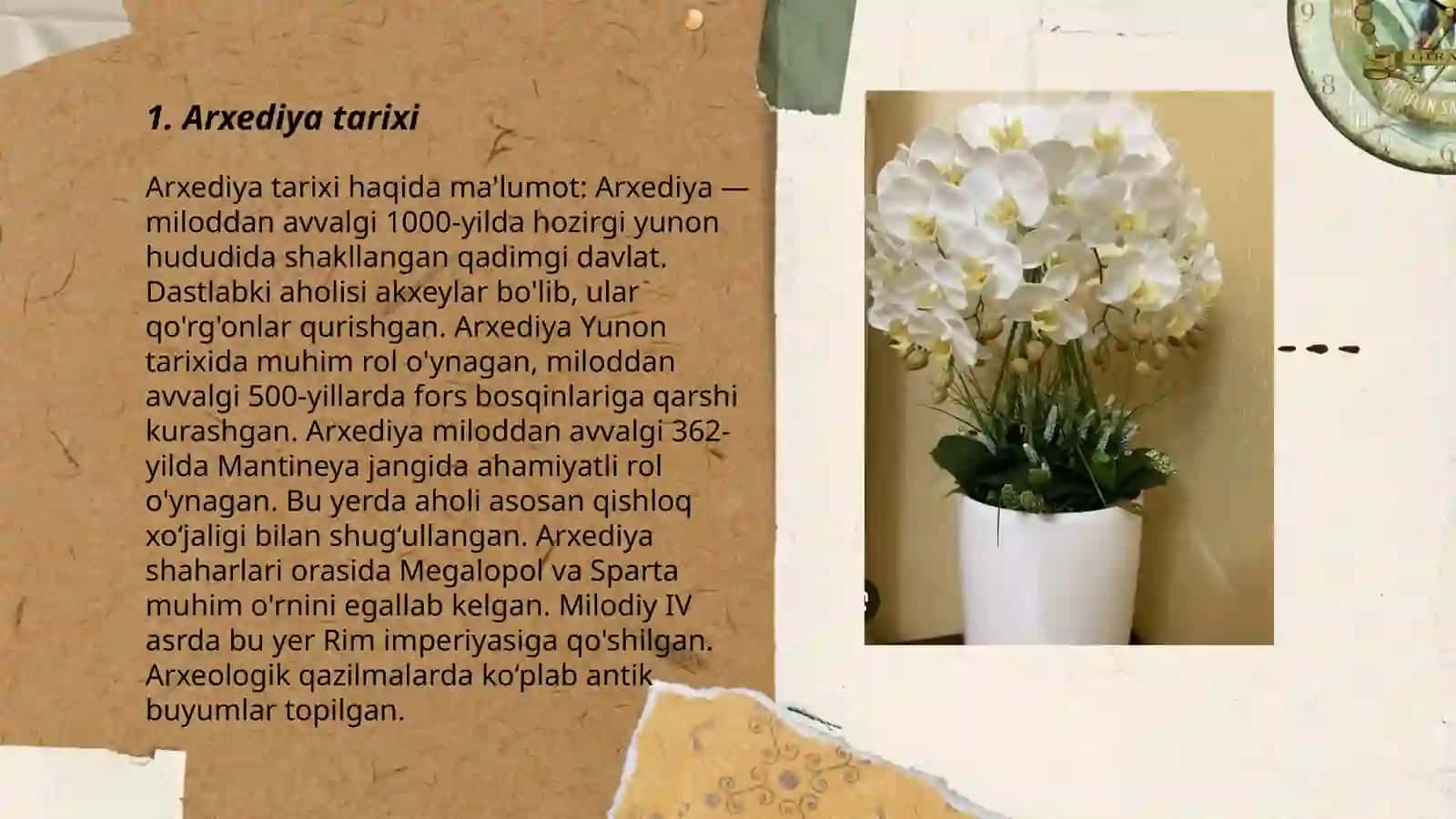 Arxediya 3