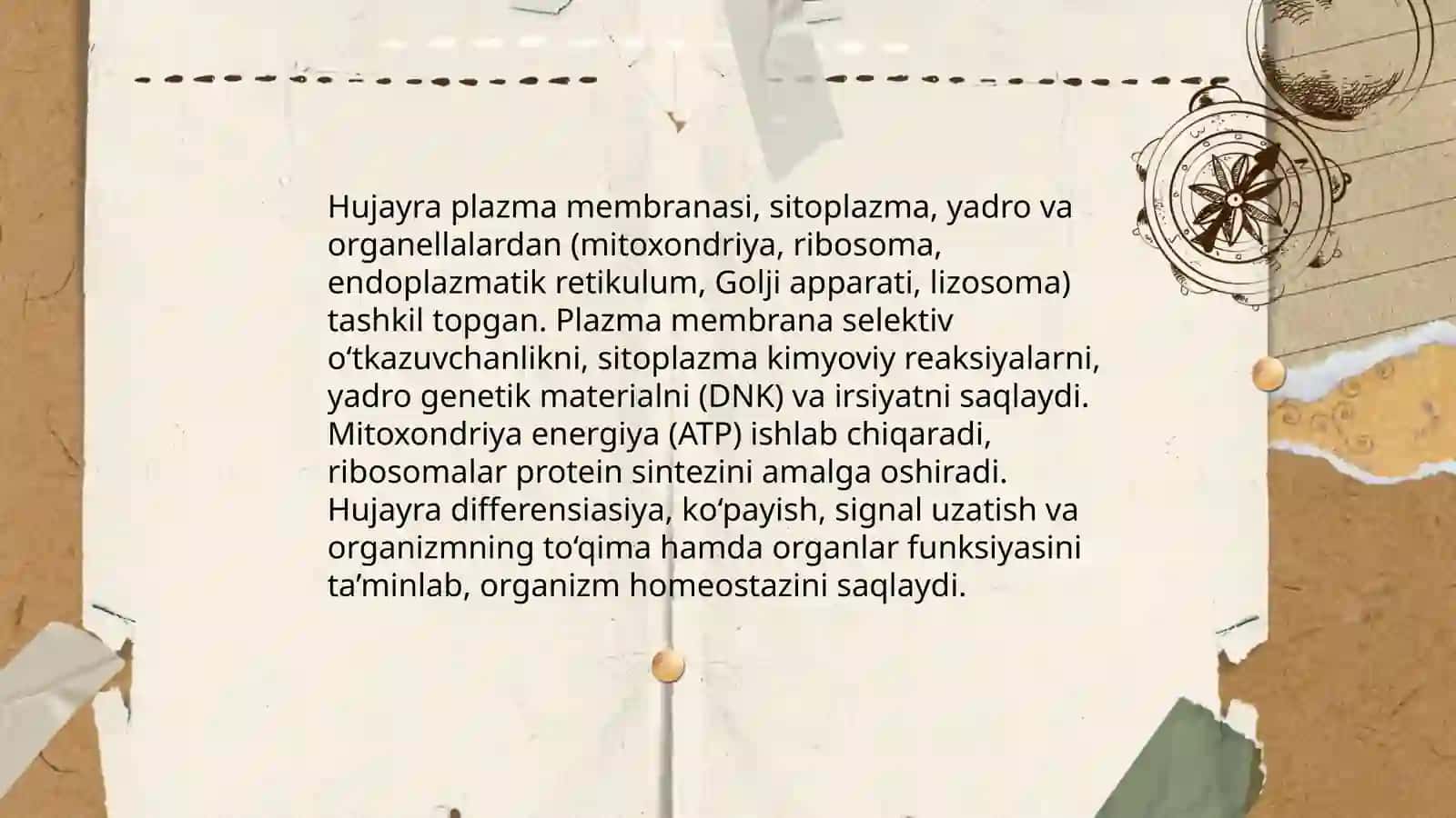 Hujayra va to’qimalarning organizm uchun ahamiyati 3