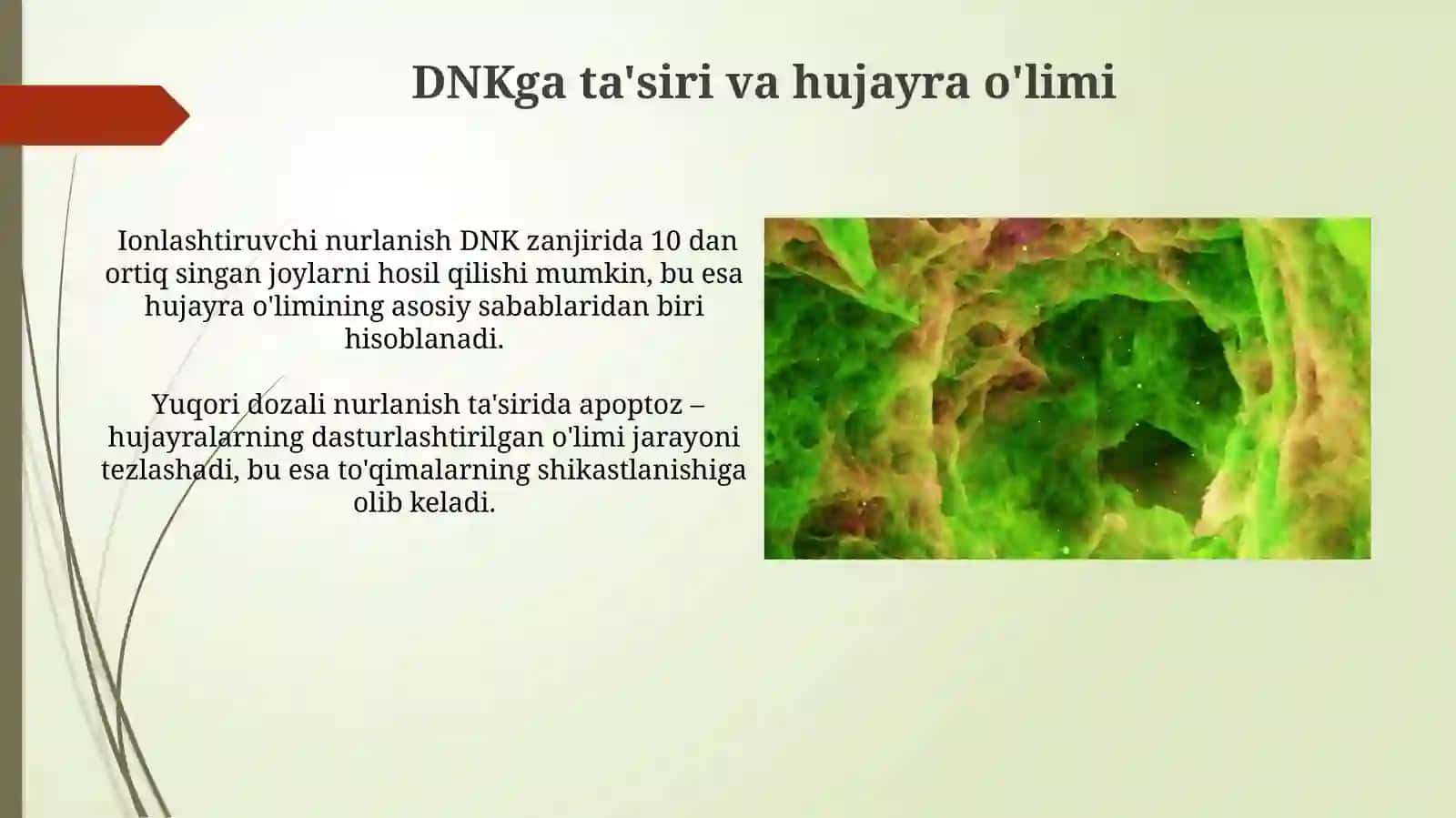 Ionlashtiruvchi nurlar biologik to'qimalarga ta'sirini oldim 3