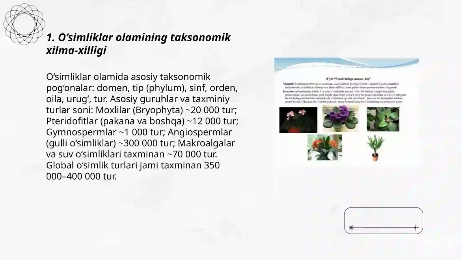 O‘simliklar olamining xilma xilligi 3