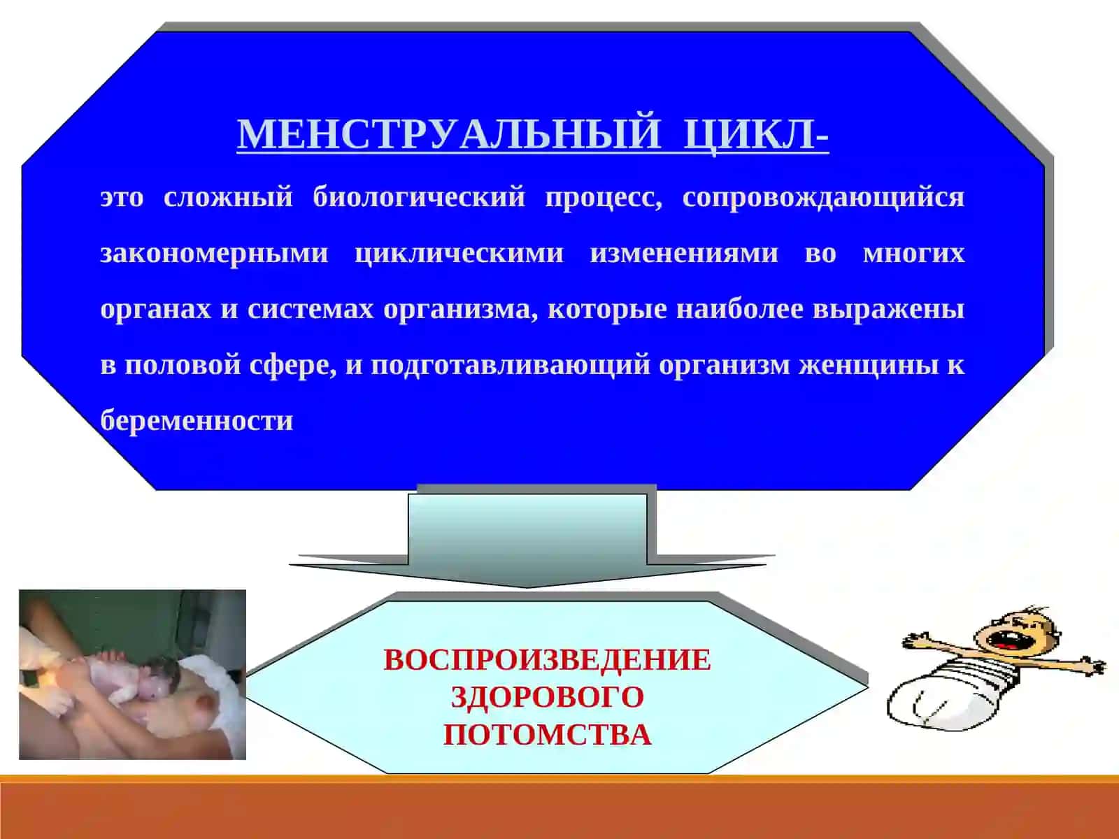 МЕНУСТИРАЛНИ СИКЛ 3