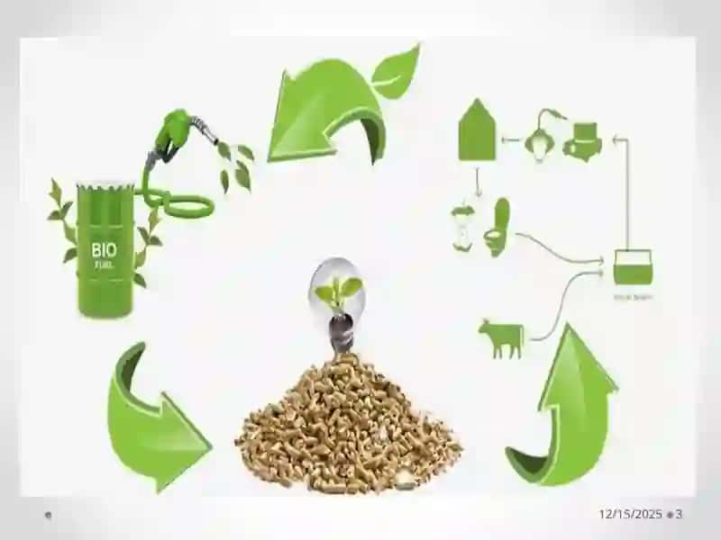 Biomassa energiyasi 3